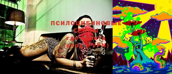 гидропоника Абаза