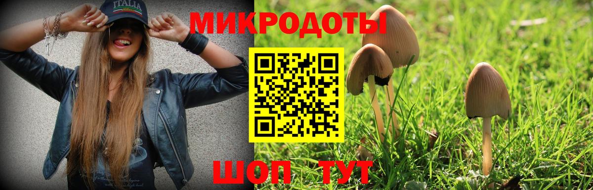 Чебаркуль  Псилоцибиновые грибы мухоморы  Вход с VPN 