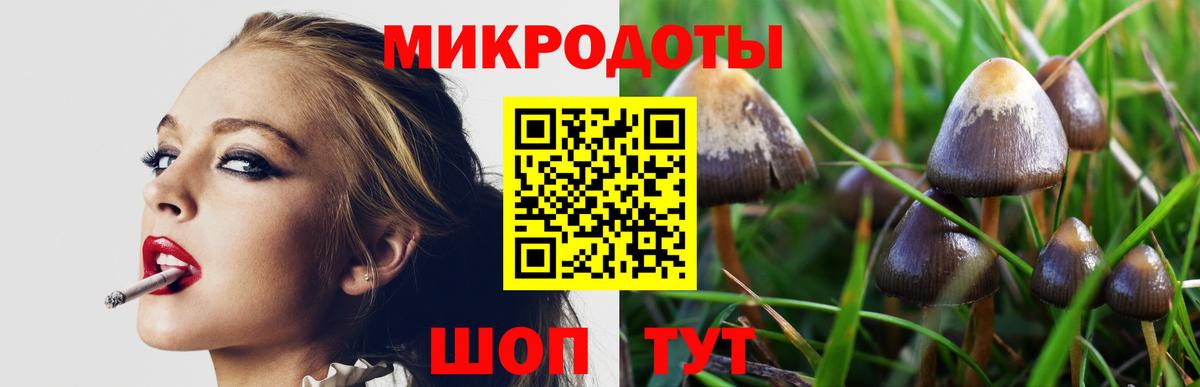 Псилоцибиновые грибы Psilocybe Чебаркуль